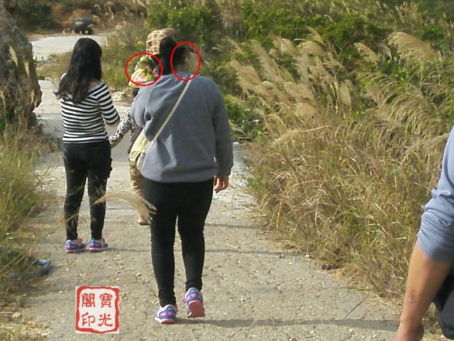 精彩灵异仙姑岭 之二:可爱山灵伴游程