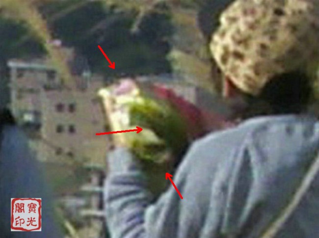 精彩灵异仙姑岭 之二:可爱山灵伴游程