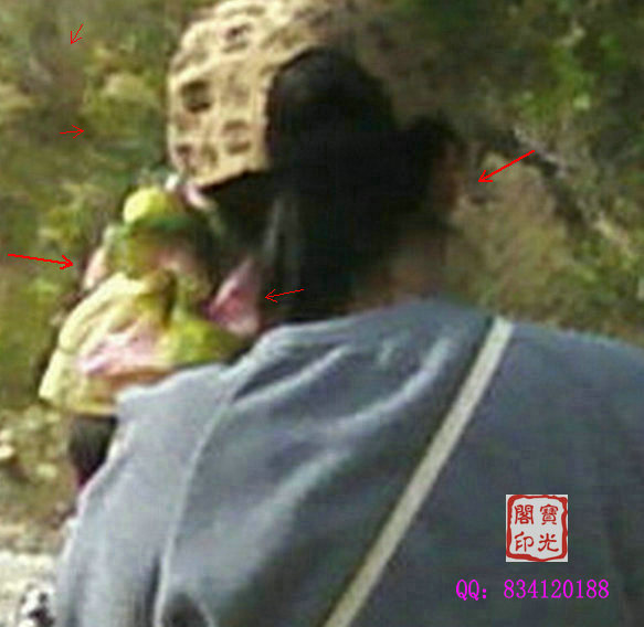 精彩灵异仙姑岭 之二:可爱山灵伴游程