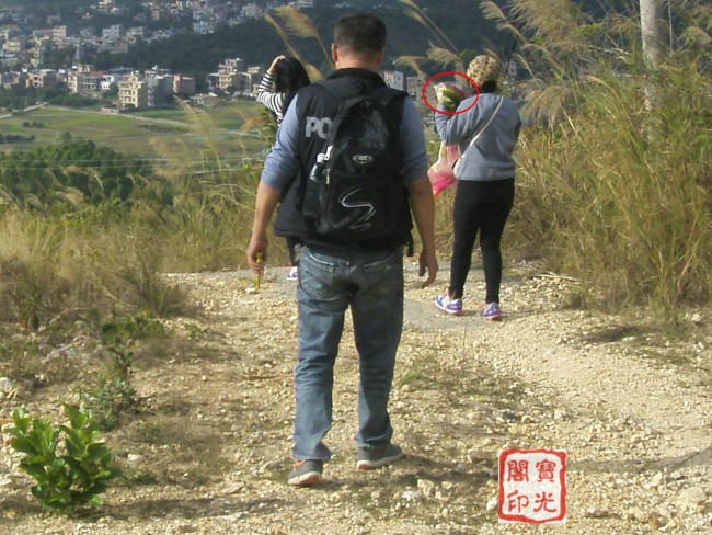 精彩灵异仙姑岭 之二:可爱山灵伴游程