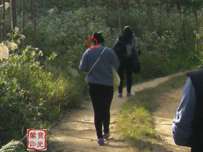 精彩灵异仙姑岭 之二:可爱山灵伴游程