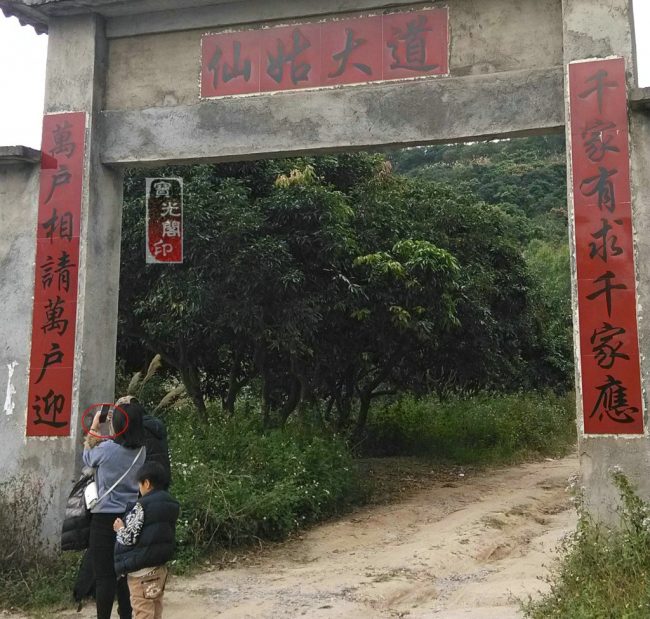 精彩灵异仙姑岭之一:奇怪的手