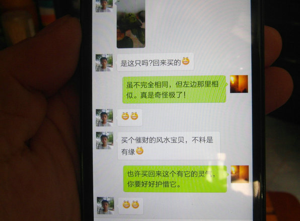 灵异照片:碧玉小动物