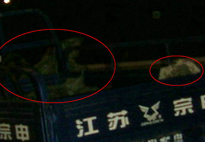 顺风车