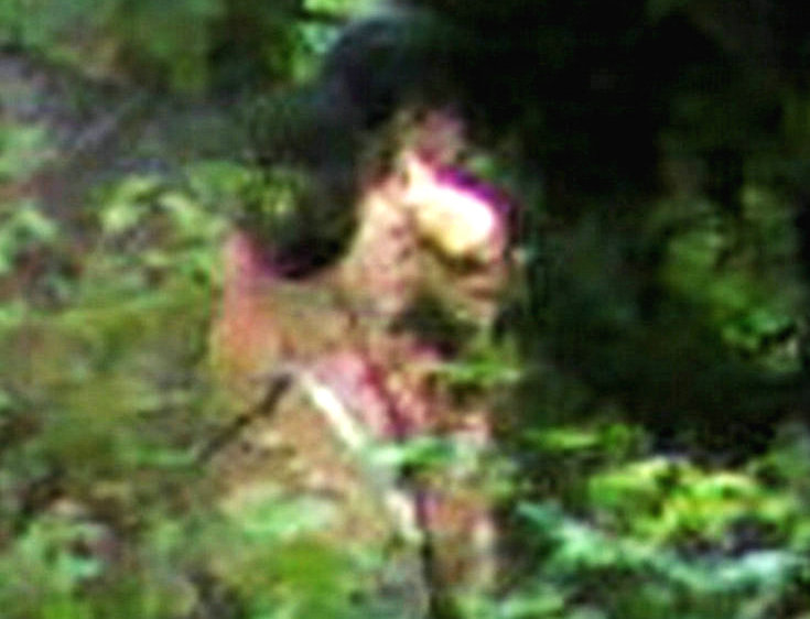 山间粉红娃
