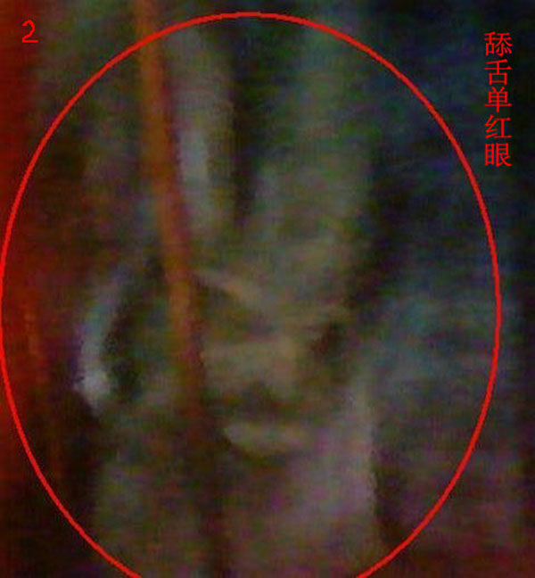 清晰灵异照片三幅