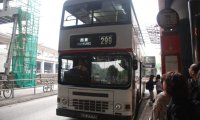 离墓群不到100米的露营活动