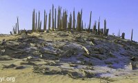 神秘的“小河墓地”:小河墓地六大未解之谜