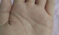 求看看手相,