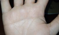 求看手相