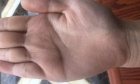 🈶️真正的大师吗?能看手相那种急急急