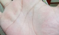 求大师看个手相,主看婚姻