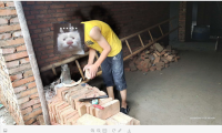 猫十七:新房里面拍照片