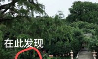在“圣水观”修炼的精怪