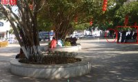 小公园灵物(三)