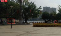 小公园灵物(二)