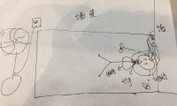 游走于现实和梦境的经历