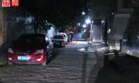 瞧这“一家子”