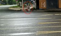 这两位女子是谁?