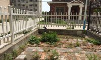 亲身经历之☞鬼上身(续)