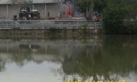 震撼:岭南圣母(冼太夫人)故里灵异特展(二)