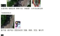 拍灵异照中的“死图”与“活图”