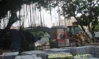 荒园就是乐园