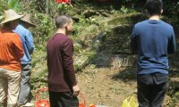 丛林里偷瞧扫墓的小精灵们