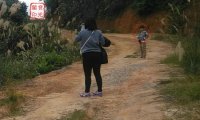 精彩灵异仙姑岭 之二:可爱山灵伴游程