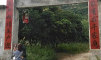 精彩灵异仙姑岭之一:奇怪的手