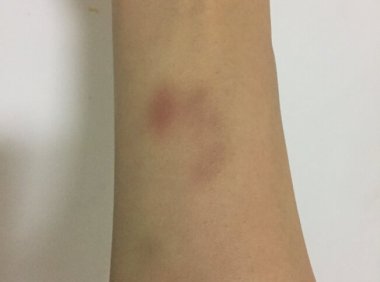 谁知道这是啥就给我留言吧