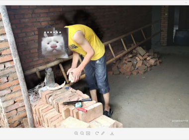 猫十七:新房里面拍照片