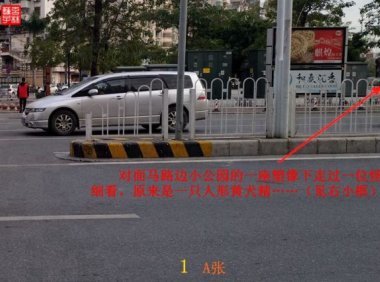 灵异照片:追拍黄犬精