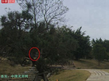震撼:岭南圣母(冼太夫人)故里灵异特展(九)