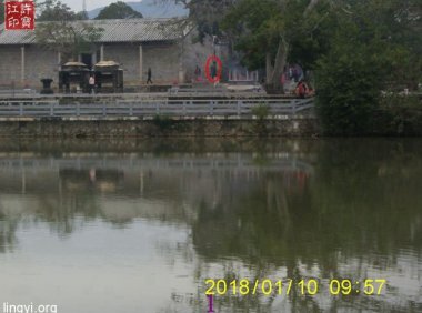 震撼:岭南圣母(冼太夫人)故里灵异特展(二)