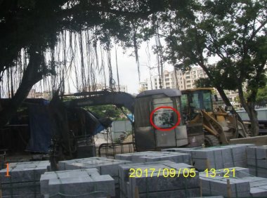 荒园就是乐园