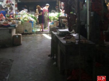 中元节:灰灰兄弟逛市场