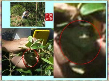 请为我的朋友祈祷