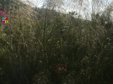 精彩灵异仙姑岭之三:灵光异彩有乾坤