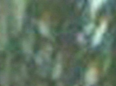 中秋早上在阳台拍到的一张照片(手机拍摄)
