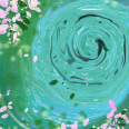 浅水漾