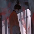 柠檬是只小狐狸